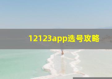 12123app选号攻略