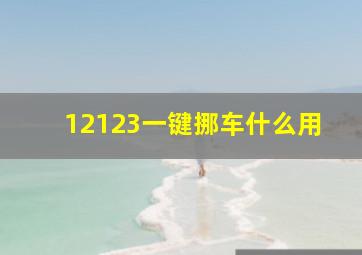 12123一键挪车什么用