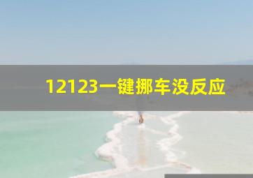 12123一键挪车没反应