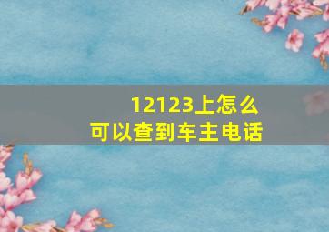 12123上怎么可以查到车主电话