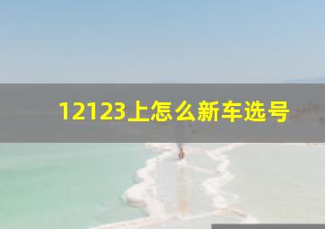 12123上怎么新车选号