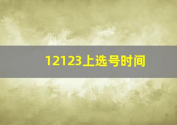 12123上选号时间