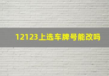 12123上选车牌号能改吗