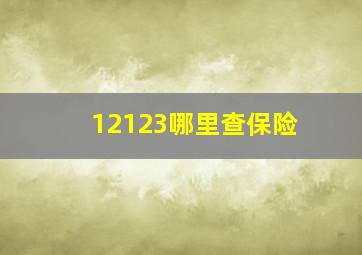 12123哪里查保险