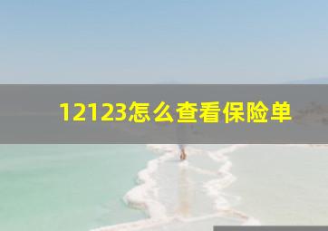 12123怎么查看保险单