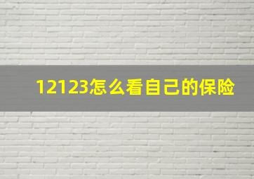 12123怎么看自己的保险