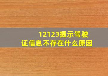 12123提示驾驶证信息不存在什么原因