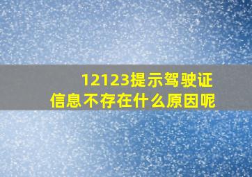 12123提示驾驶证信息不存在什么原因呢