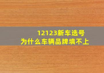 12123新车选号为什么车辆品牌填不上