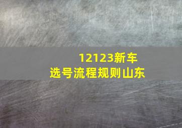 12123新车选号流程规则山东