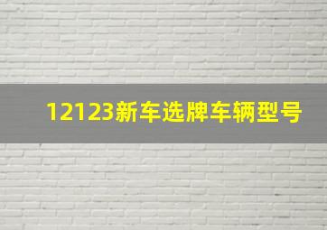 12123新车选牌车辆型号