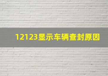 12123显示车辆查封原因