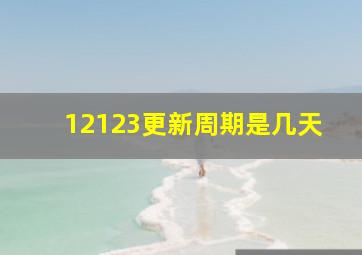 12123更新周期是几天