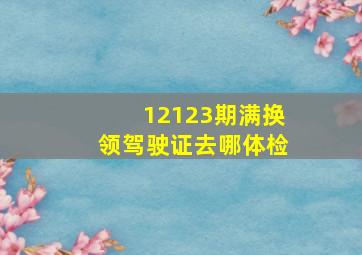 12123期满换领驾驶证去哪体检