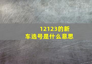 12123的新车选号是什么意思