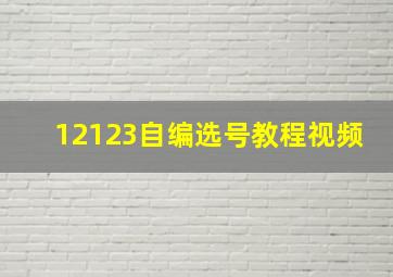 12123自编选号教程视频