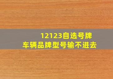 12123自选号牌车辆品牌型号输不进去