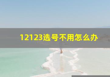 12123选号不用怎么办