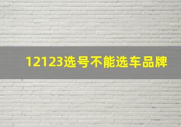 12123选号不能选车品牌