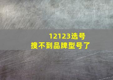 12123选号搜不到品牌型号了