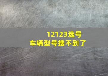 12123选号车辆型号搜不到了