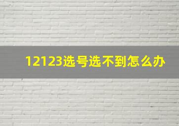 12123选号选不到怎么办