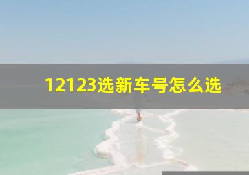 12123选新车号怎么选