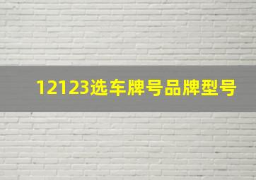 12123选车牌号品牌型号