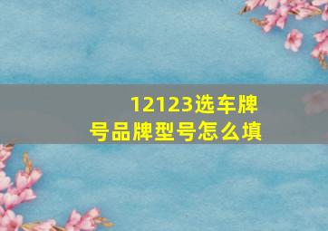 12123选车牌号品牌型号怎么填