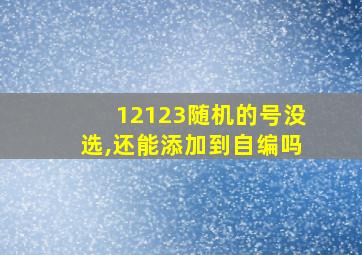 12123随机的号没选,还能添加到自编吗