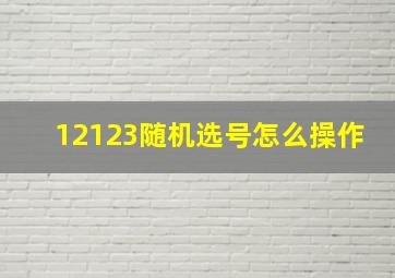 12123随机选号怎么操作