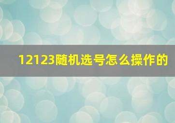 12123随机选号怎么操作的