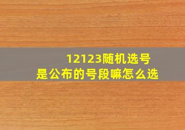 12123随机选号是公布的号段嘛怎么选