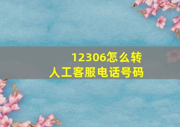 12306怎么转人工客服电话号码