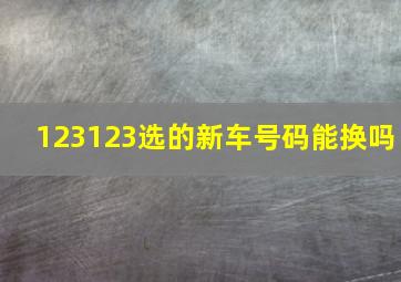 123123选的新车号码能换吗