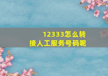 12333怎么转接人工服务号码呢