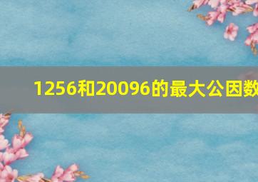 1256和20096的最大公因数