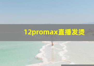 12promax直播发烫