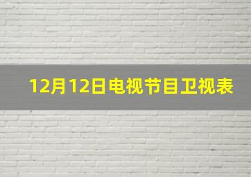 12月12日电视节目卫视表