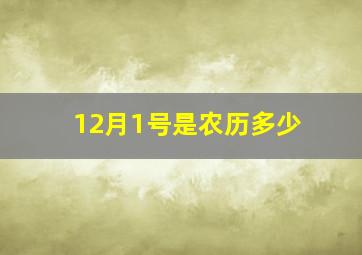 12月1号是农历多少