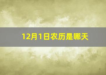 12月1日农历是哪天