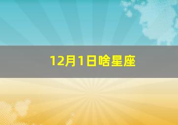 12月1日啥星座