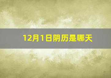 12月1日阴历是哪天