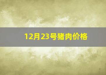 12月23号猪肉价格