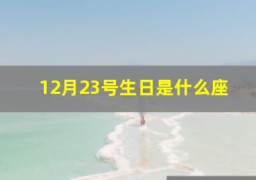 12月23号生日是什么座