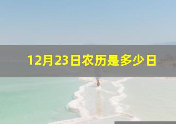 12月23日农历是多少日