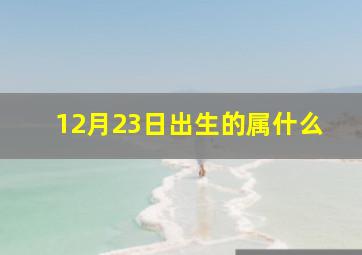 12月23日出生的属什么