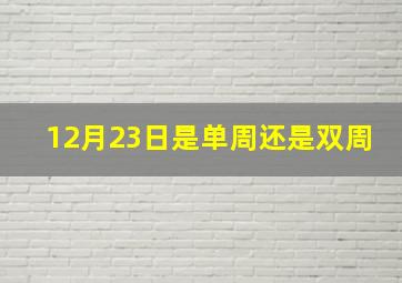 12月23日是单周还是双周