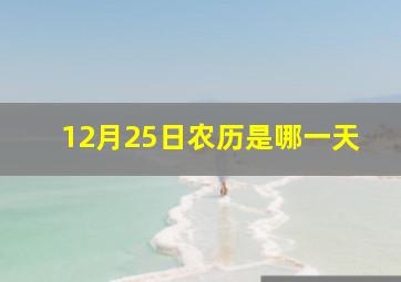 12月25日农历是哪一天