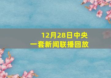 12月28日中央一套新闻联播回放